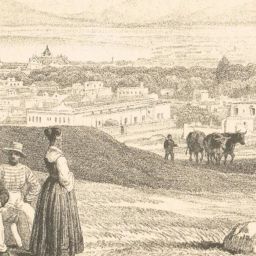 Journeys to Waipipi – from Woodford to Cape Town