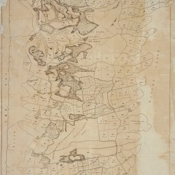 Journeys to Waipipi – Capetown to Waipipi